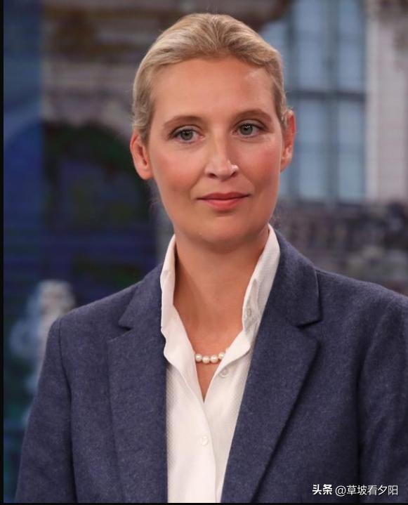 德国选择党（AfD）联席主席爱丽丝·魏德尔直言，支持乌克兰、拯救欧元与气候、接纳