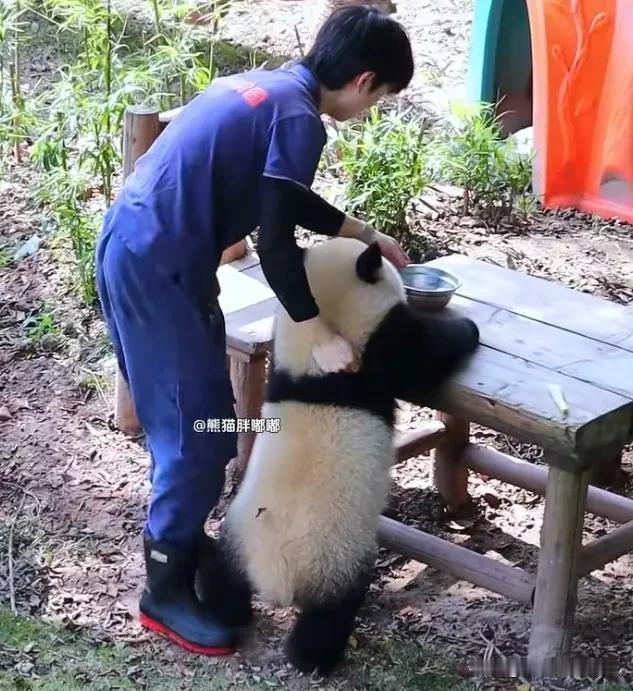 特别喜欢这个片段，看不够根本看不够！[比心]
    小月亮看到小餐桌上有一小盆