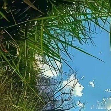 没有谁的生活会一直完美，但无论什么时候都要眼看前方，满怀希望就会所向披靡。愿你有