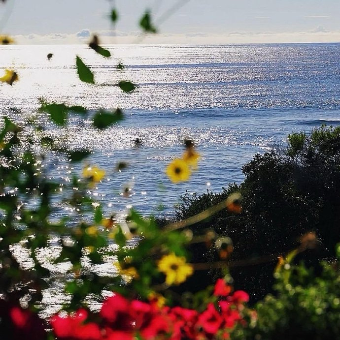 𝑳𝒂𝒕𝒆𝒓 𝒅𝒂𝒚𝒔 ☕ “遗憾的事情太多了 ，所以没关系 尽