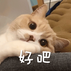 又是一个02：35—6：31，生物钟自然醒的一天[喵喵] ​​​