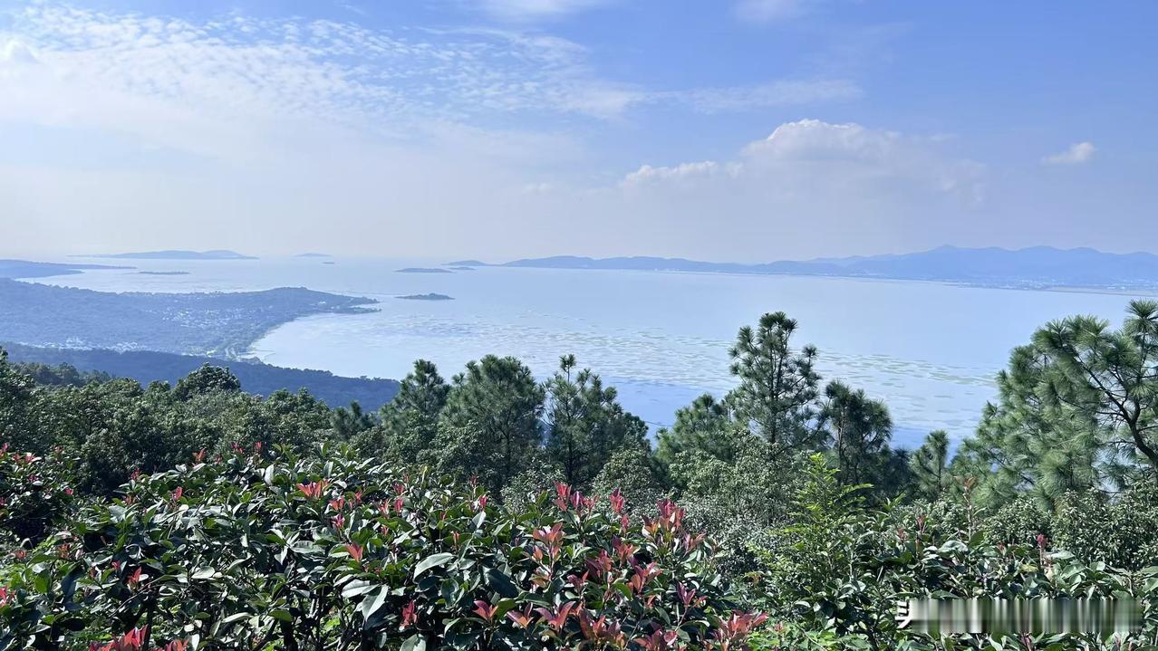 计划明年五一，环中国边界自驾。出发城市上海。但我不知道先走G228还是先走G33