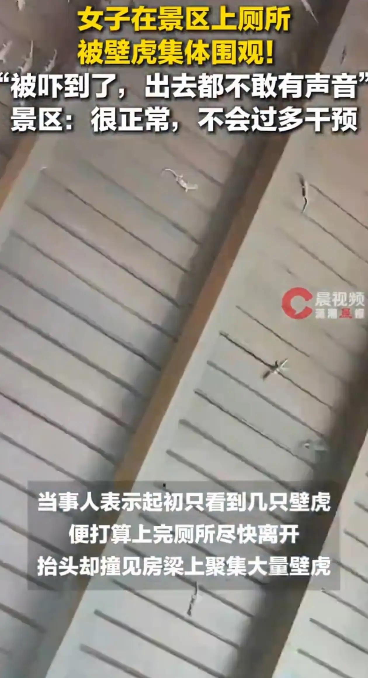 北方游客去三亚森林公园上厕所，直接解锁了这辈子最离谱的“VIP围观局”。
刚进隔