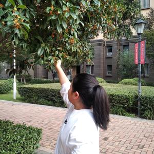 东方喻