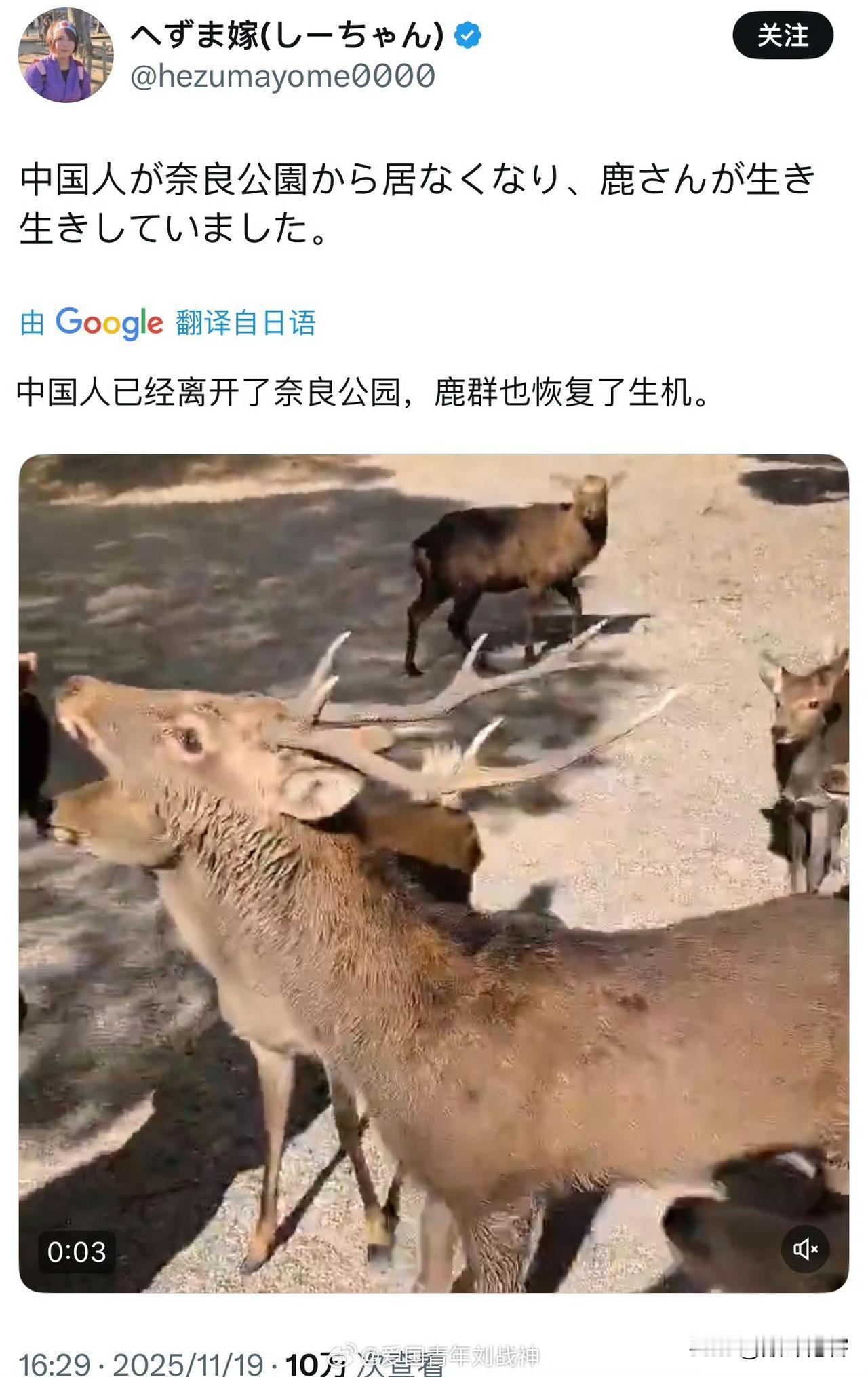 这不就是典型的反华嘛，对中国游客在日本旅游充满了深深地恶意！ ​​​