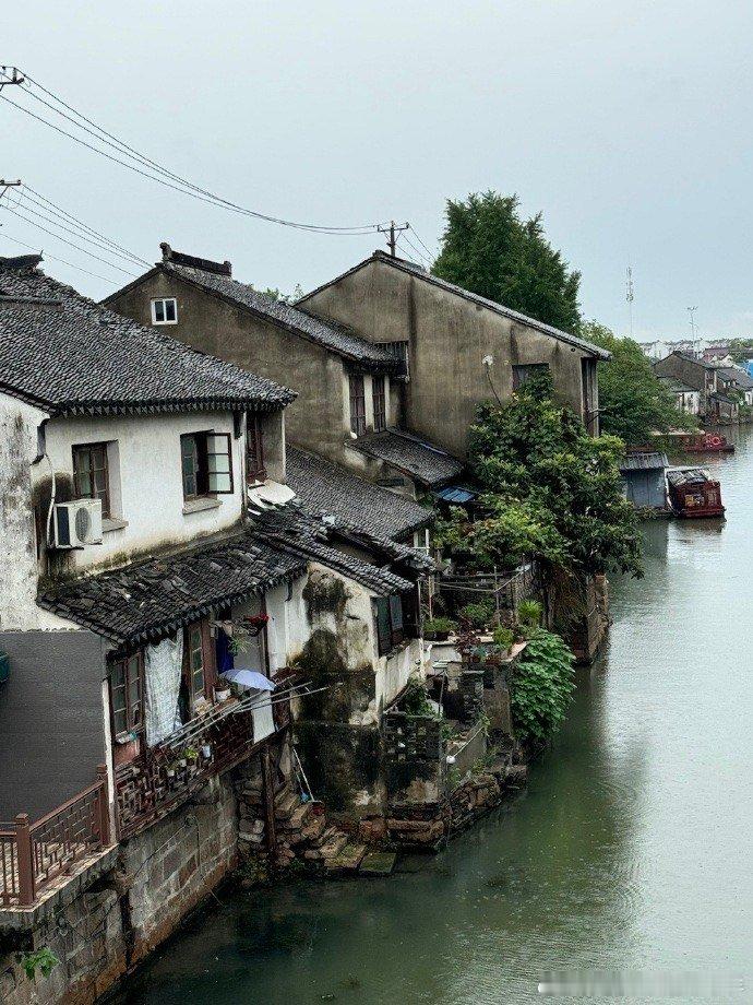 #苏州的双面魅力#苏州的古色古香让人陶醉，明清江南的韵味在拙政园里展现得淋漓尽致