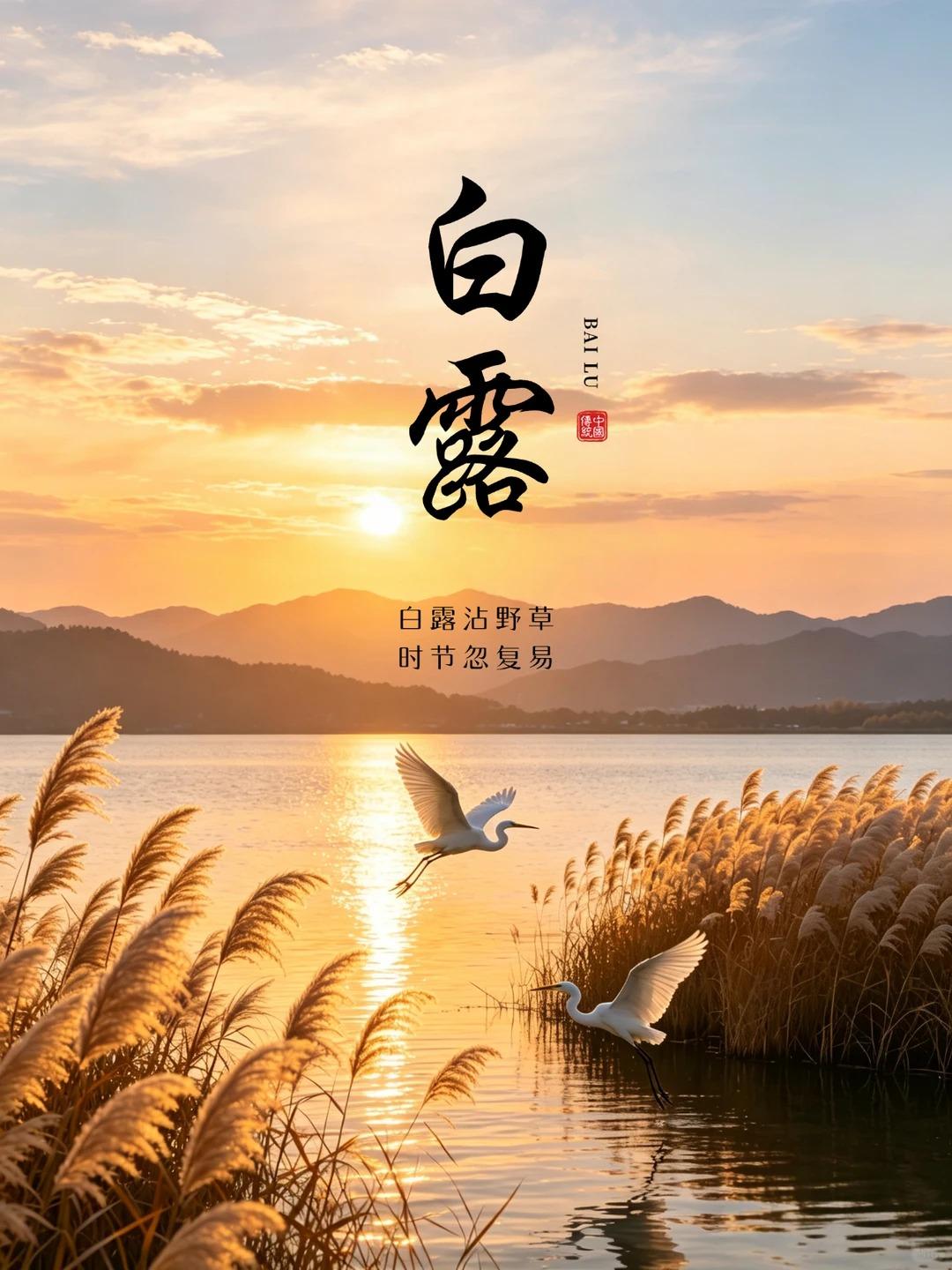 《清平乐・秋序安怀》
宵间风换，一夜添清寒。
昼暖宵凉时序转，冷暖还须自检。
万