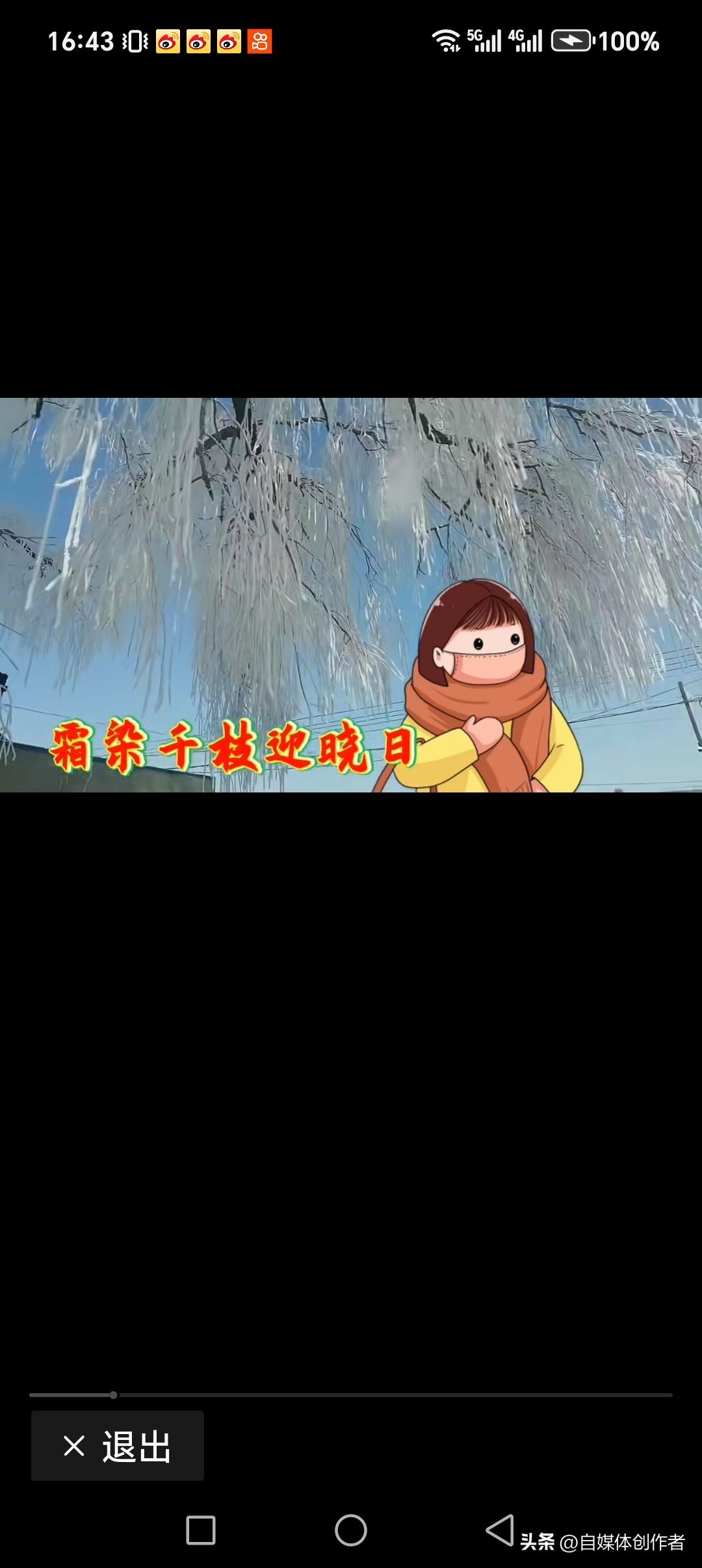 霜染千枝迎晓日
雪拂万绦接圆月