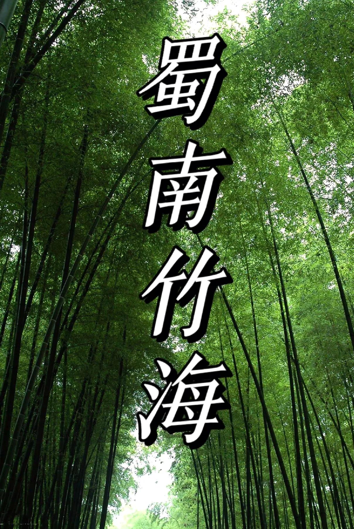 
在蜀南竹海品尝全竹荪宴，令人难忘。
竹荪汤鲜美醇厚，滋味悠长。
竹荪炒蛋，嫩滑