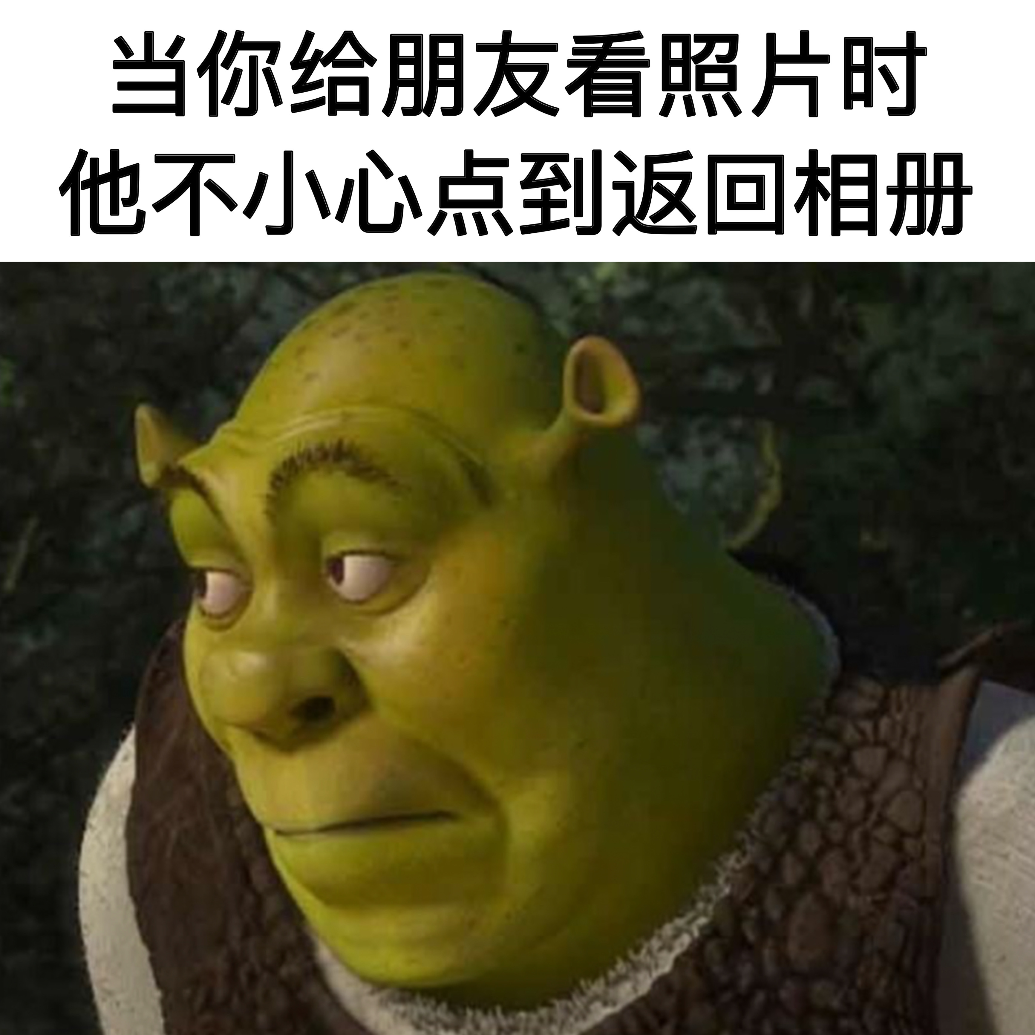 这事儿闹的memes