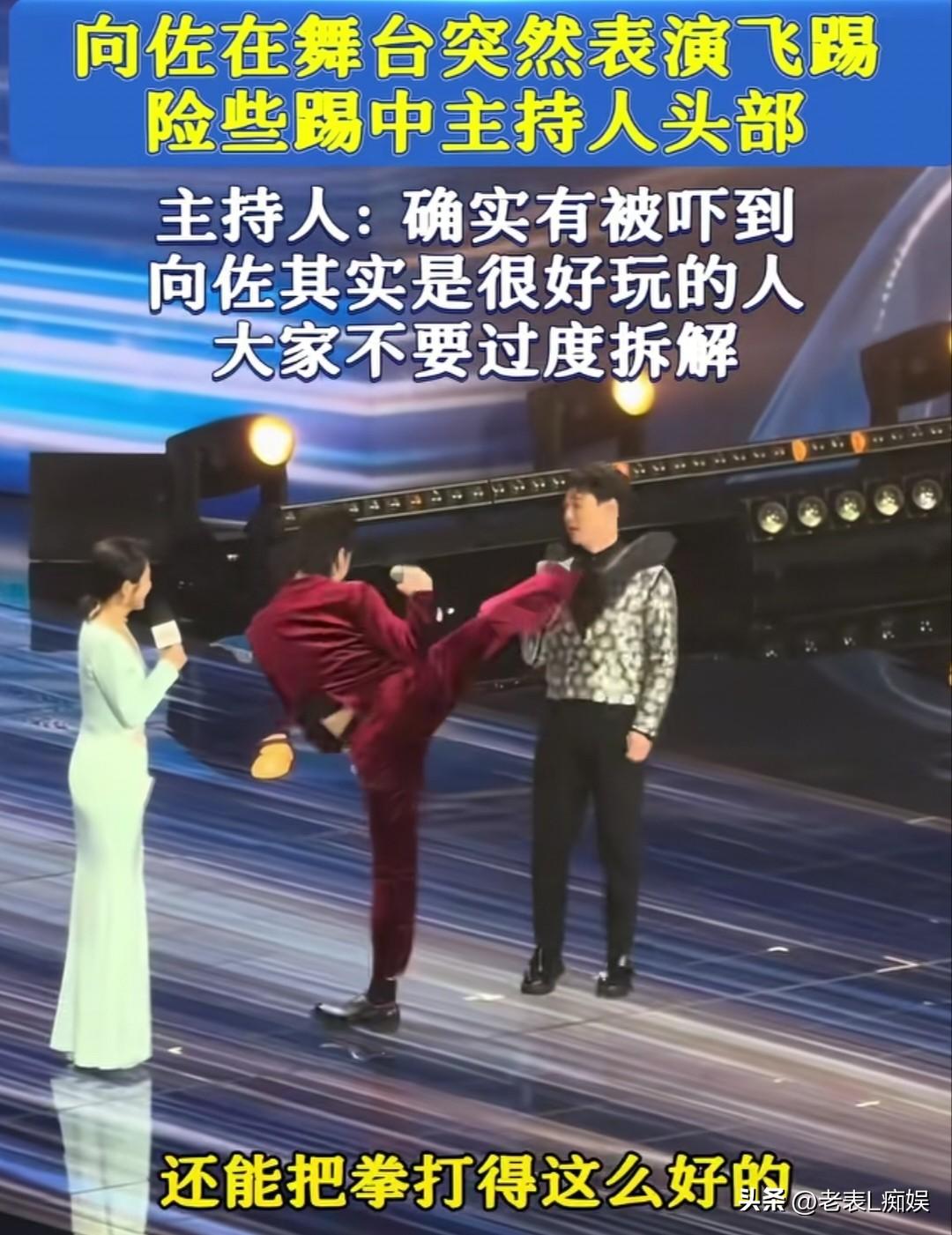 向佐再次冲上了热搜榜。

原因则是在上海某品质盛典现场，向佐突然一记飞脚踢向典礼