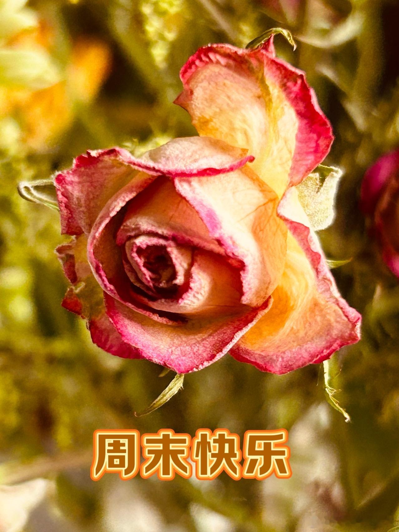 #早安# 周末快乐🌺💐🌸 ​​​