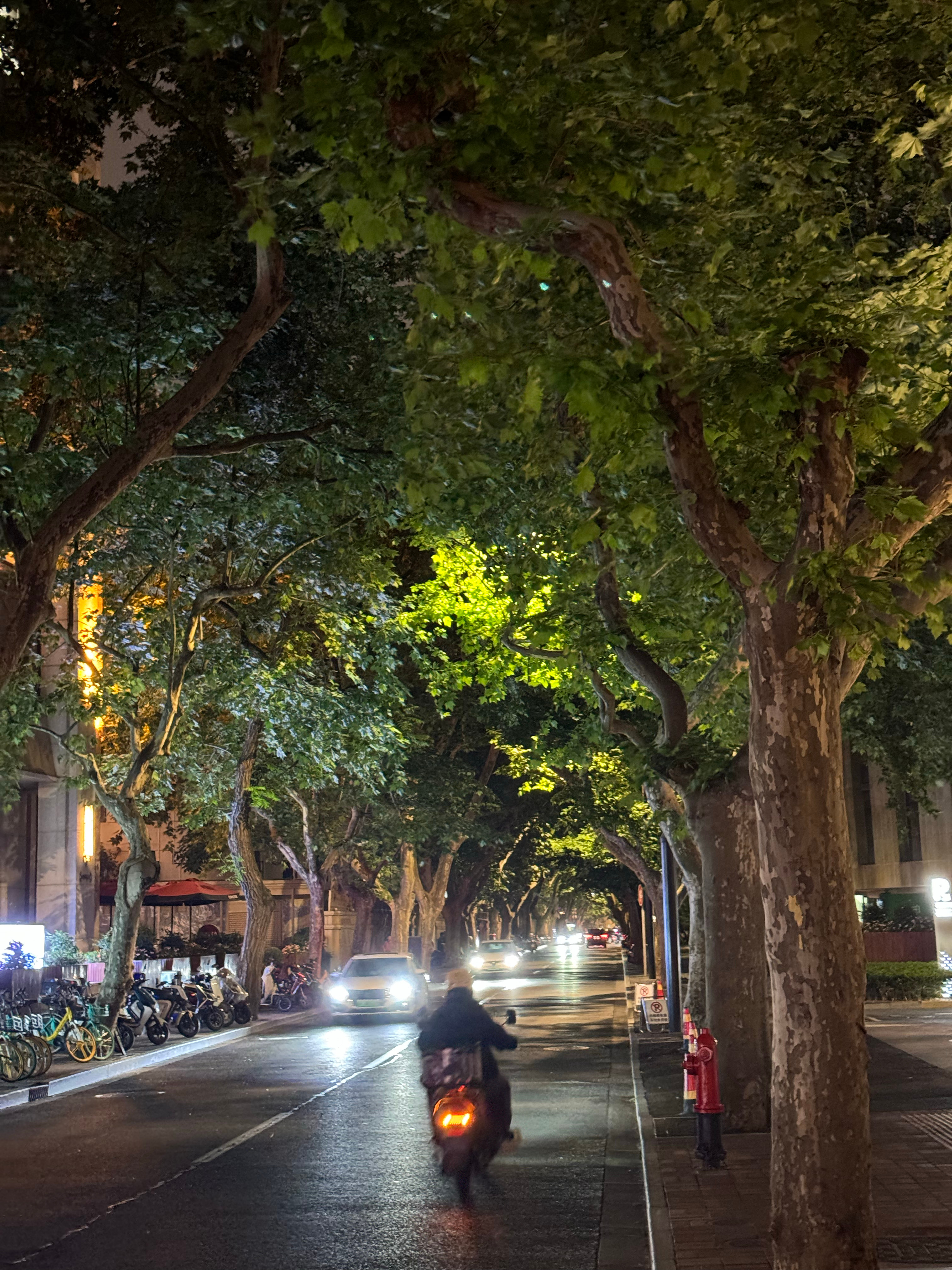 爱意随风起，风止意难平 ​​​