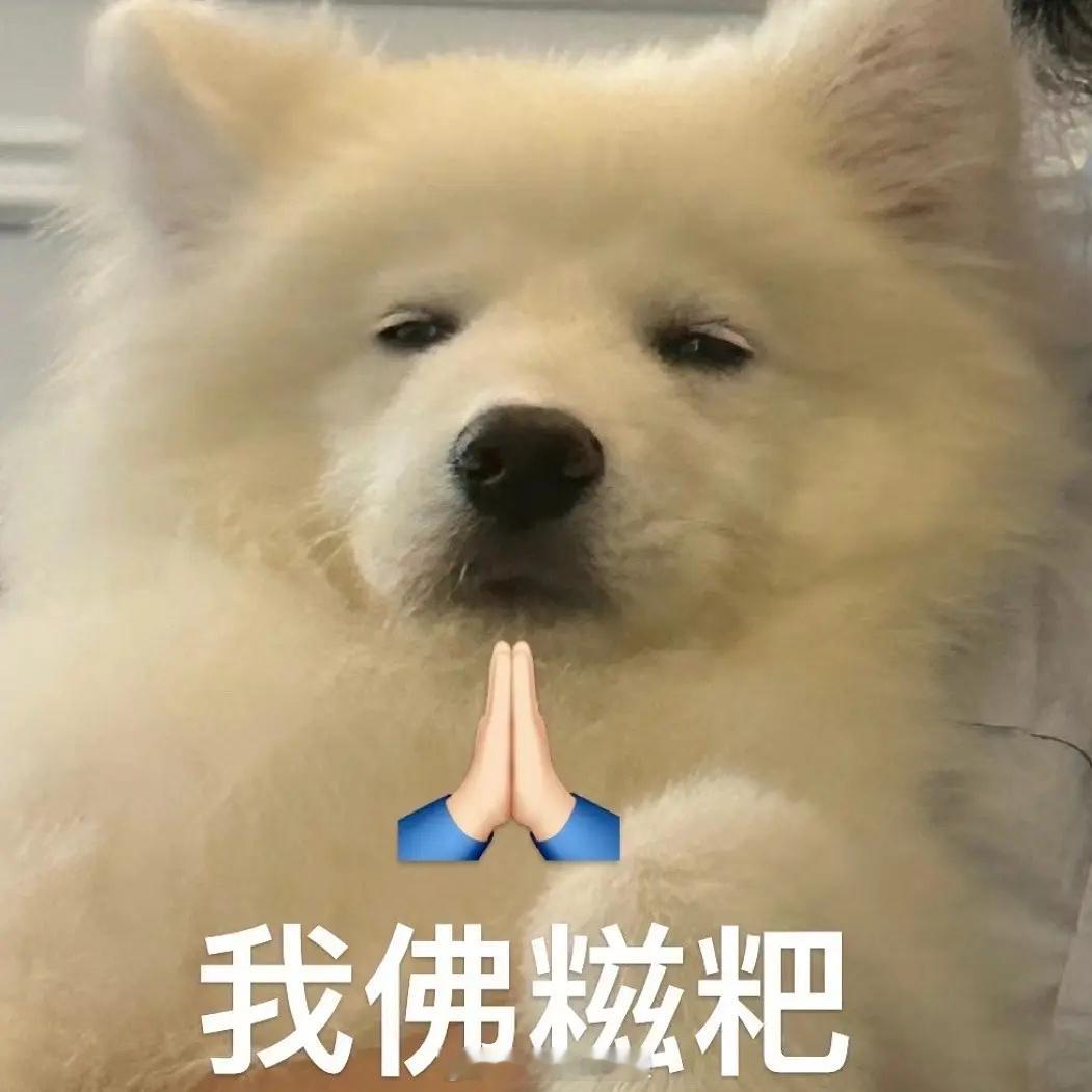 说起来今天醒了之后有那么一两分钟是天旋地转+有点想吐的状态也是没想到能累成这样该