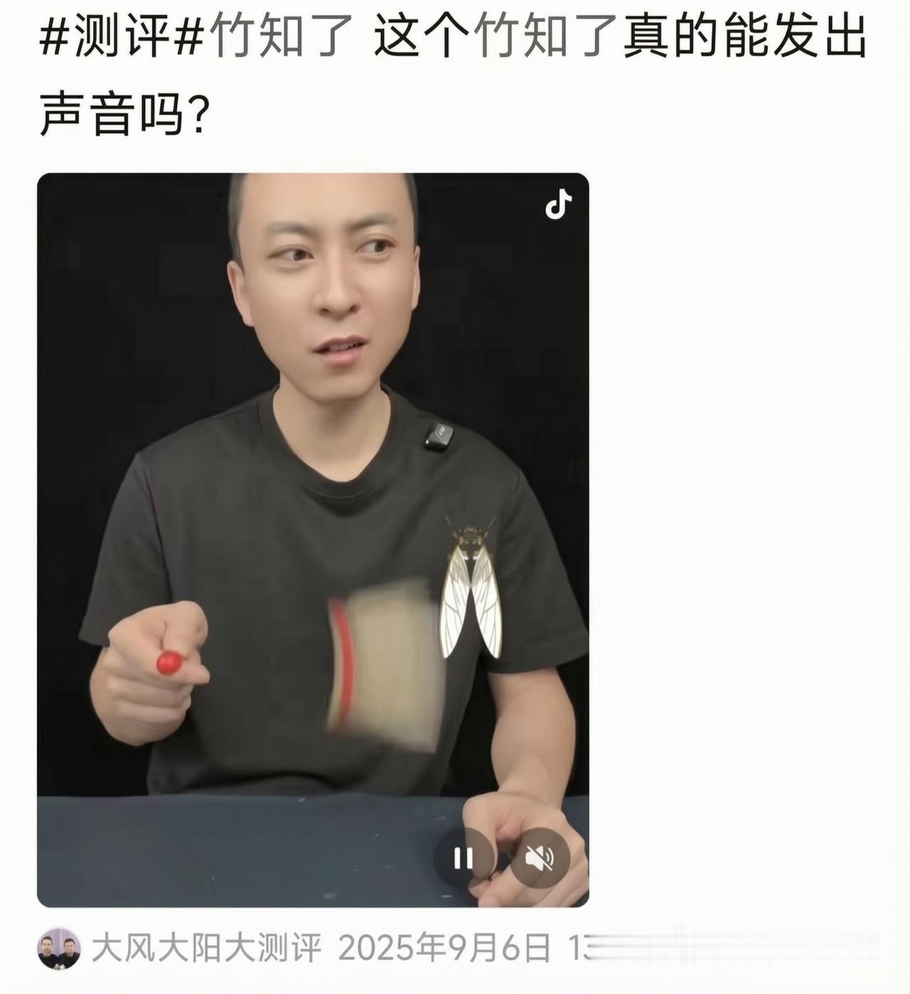 关于竹知了梗的恩恩怨怨，
大家看看我这个大胆猜想，
能打多少分？
竹知了梗的“第
