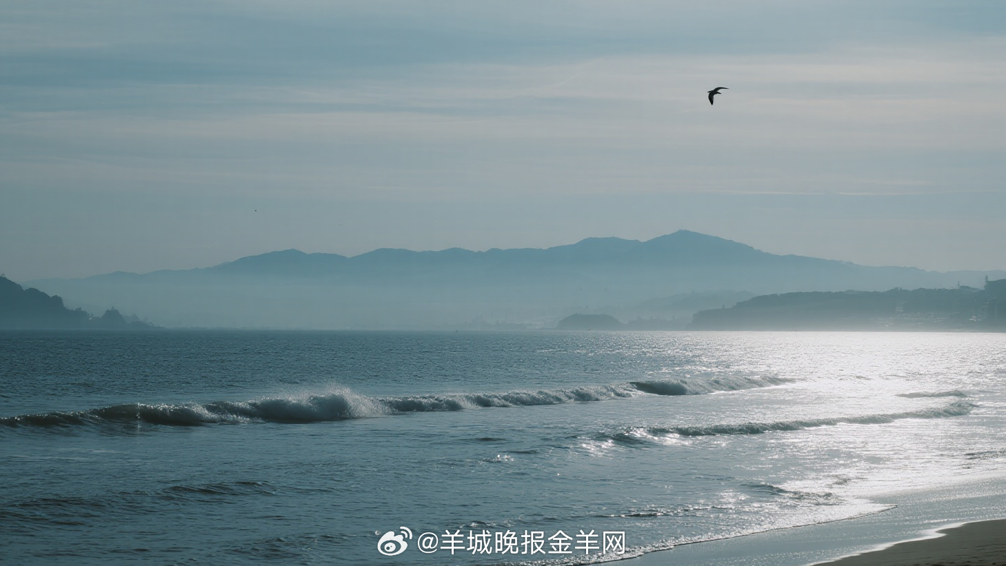 #早安# 每一次迈步，都是在锻造自己的盾牌；每一个决定，都在加固内心的力量。行动