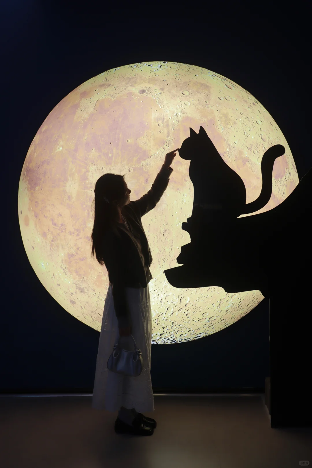 西安新新新展🐈🌙猫猫控集合！