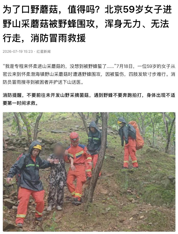 “差点命不要了！”北京怀柔，一名59岁女子专程到渤海镇野山采蘑菇，没想到刚进山不