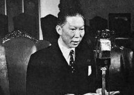 1993年，97岁的薛岳被人告上法院开庭。法官问完话，他愣了好半天没吭声，接着蹦