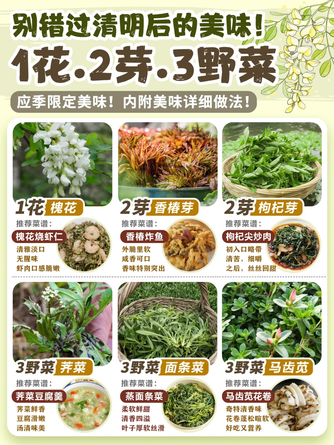 👒踏青游玩|别错过这些清明后的野菜🔥