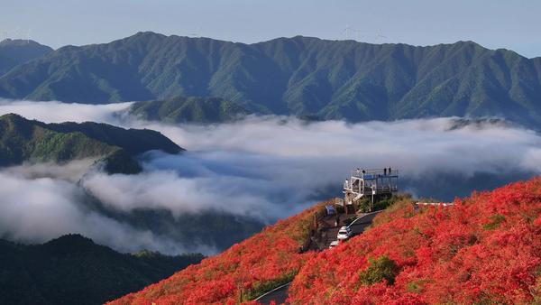 2026年开年以来，国内旅游人次、总收入同比增速双双突破30%，亮眼数据的背后，