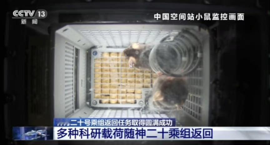 这么快就出差回来了，我还以为你要在太空待半年呢