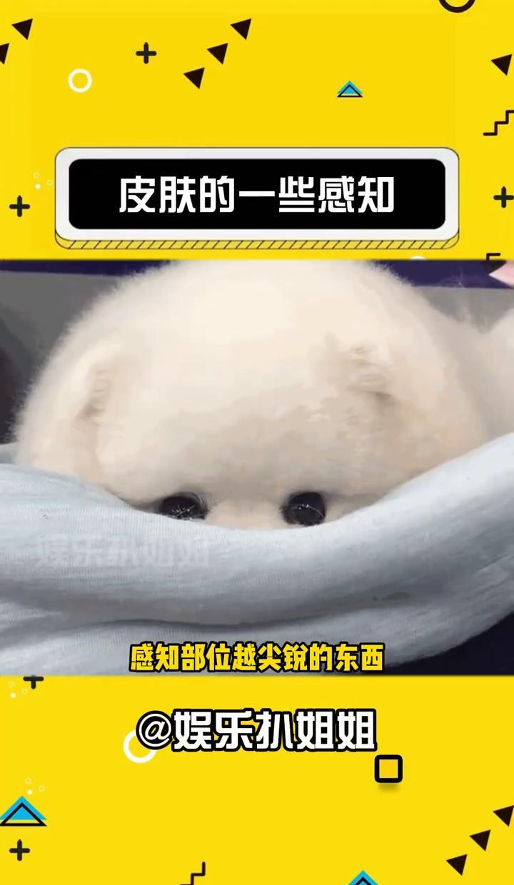 眉心一碰就疼，不是你娇气，是真敏感。
皮肤不只是遮风挡雨的外壳，它还能“看”、“