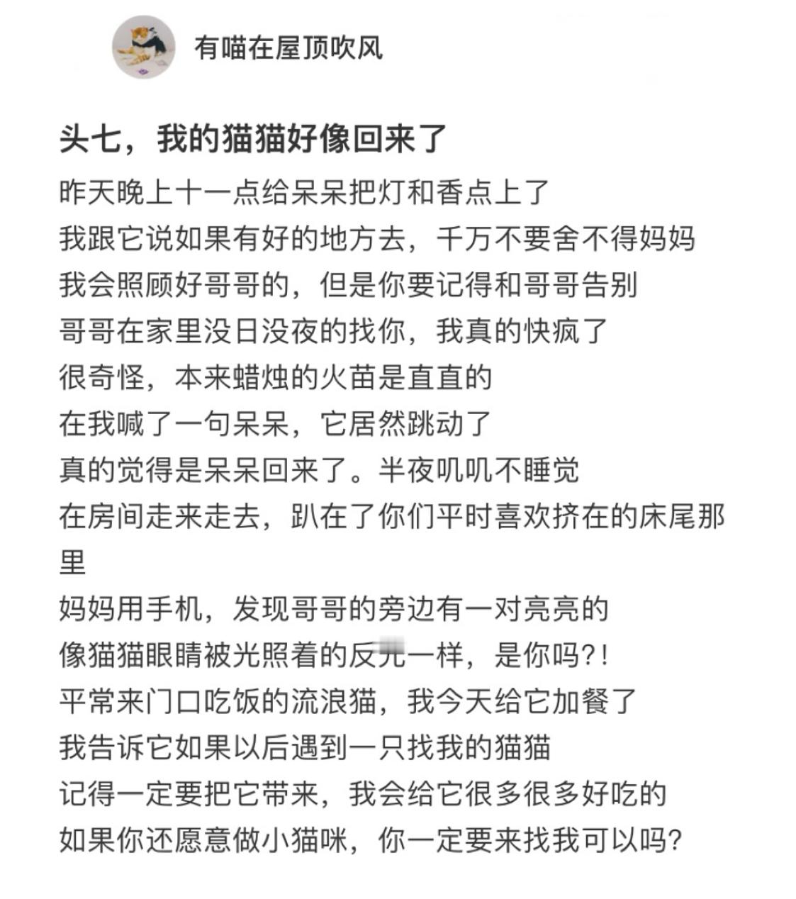 很害怕鬼，但如果是小猫鬼的话，可以。 ​​​