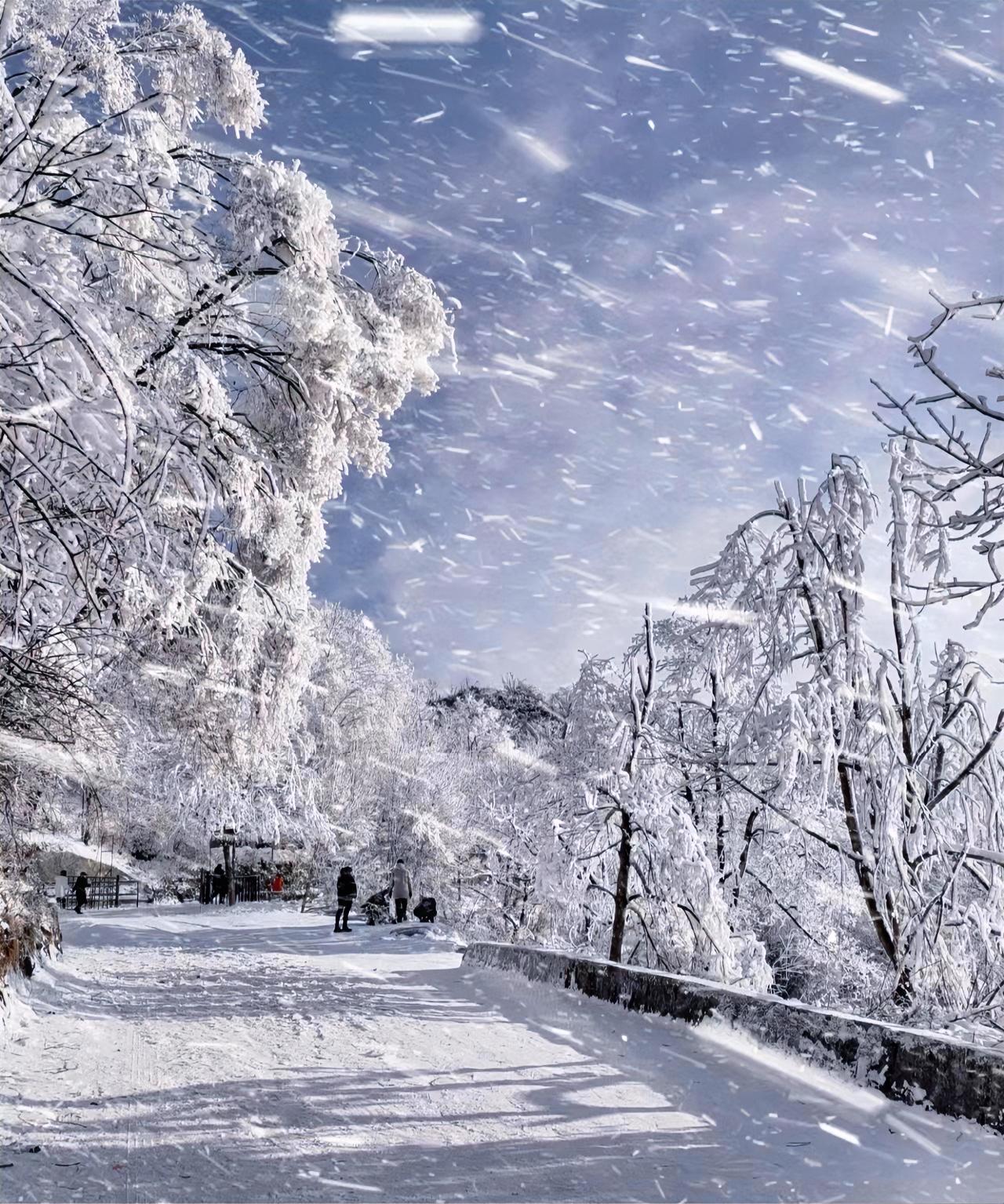 大地寒风啸；
长空瑞雪飘。