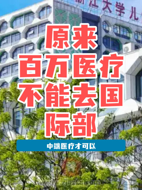 原来百万医疗不理赔国际部，销售没和我说