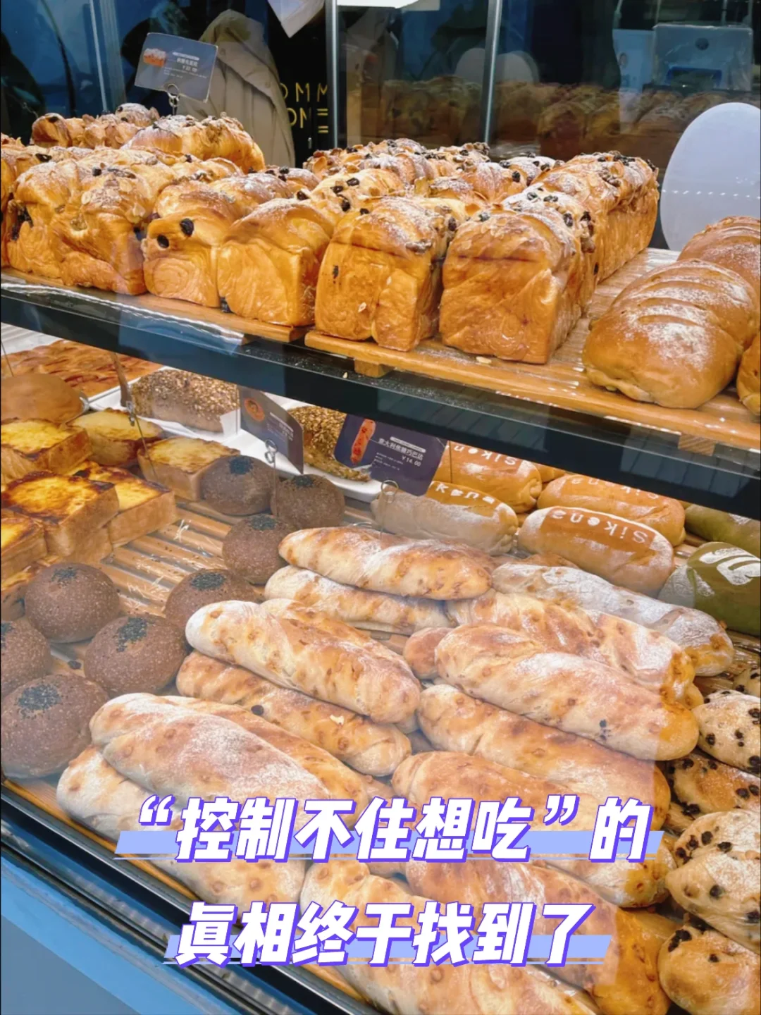 不饿会想吃、吃过了还想吃、吃了甜的想吃咸的