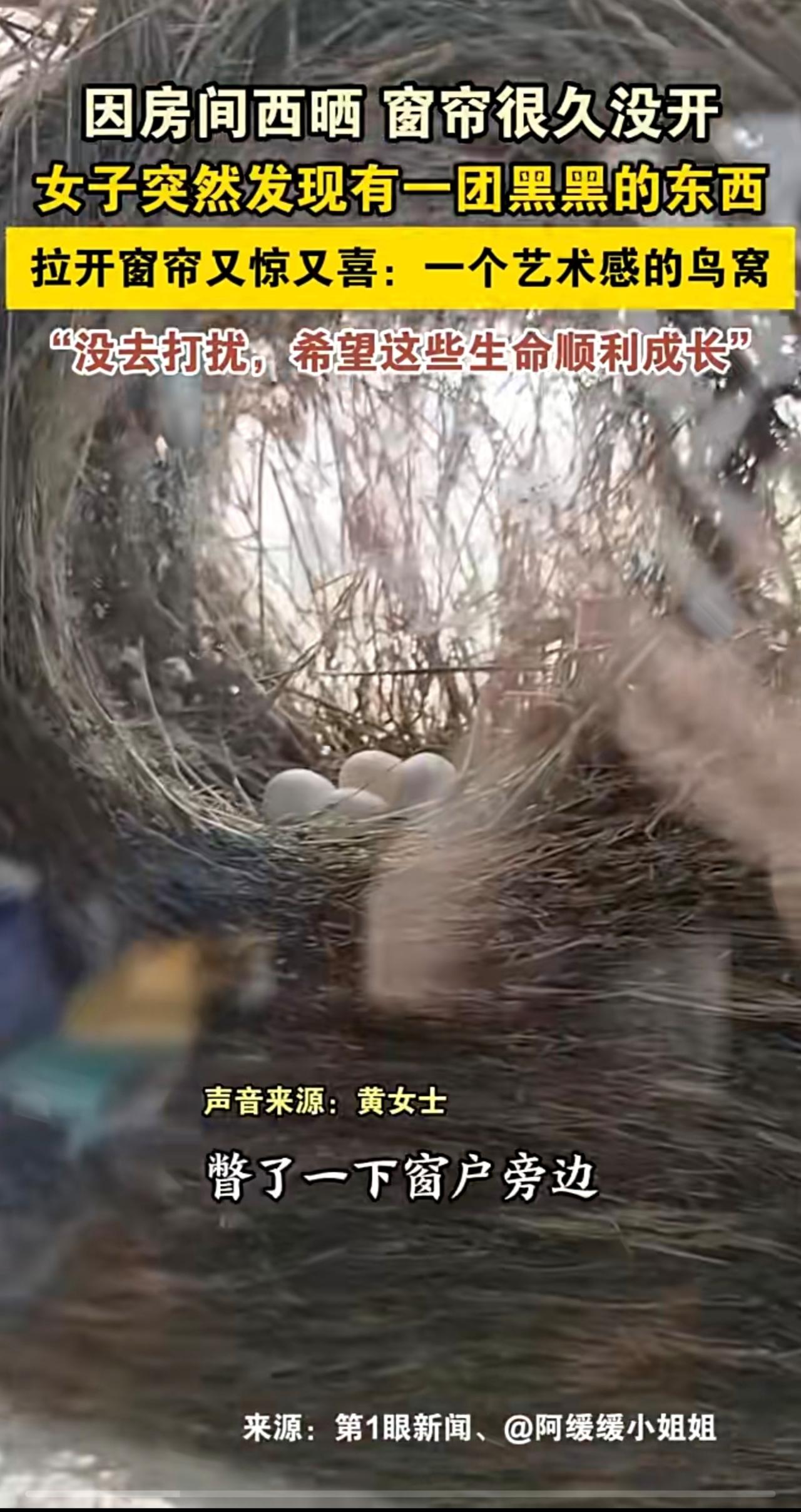 因房间西晒窗帘很久没开，