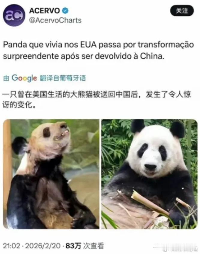 一方水土养一方人，一方水土养一方大熊猫。
说明美国那个地方真特么不是人呆的，也不