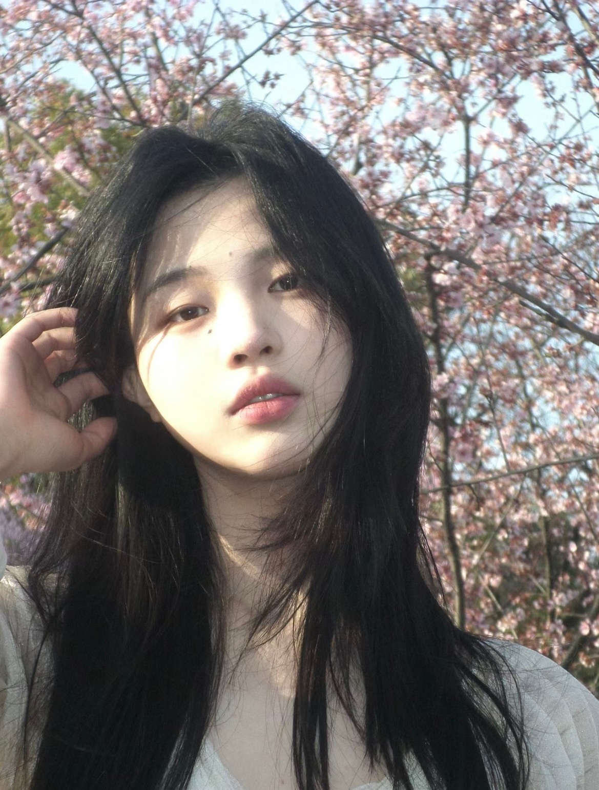樱花拍照姿势参考🌸 ​​​