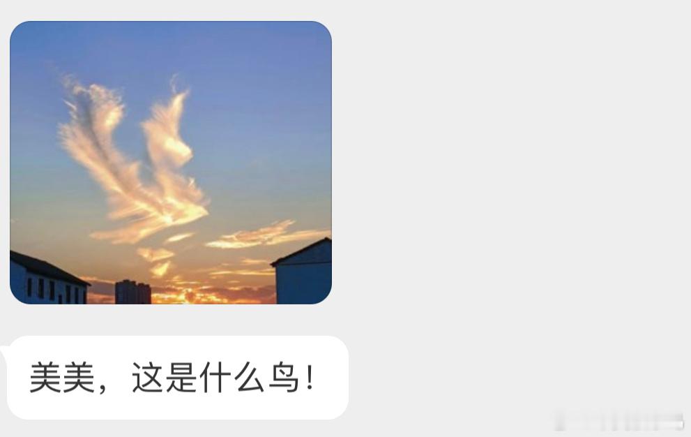 好有趣的云☁️真的是一只鸟哎！ ​​​