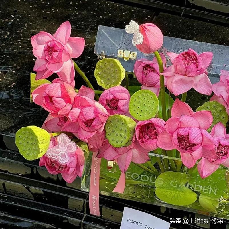 十二星座真正心动的瞬间：

白羊座：你比他更疯，更野，更不按常理出牌
金牛座：你