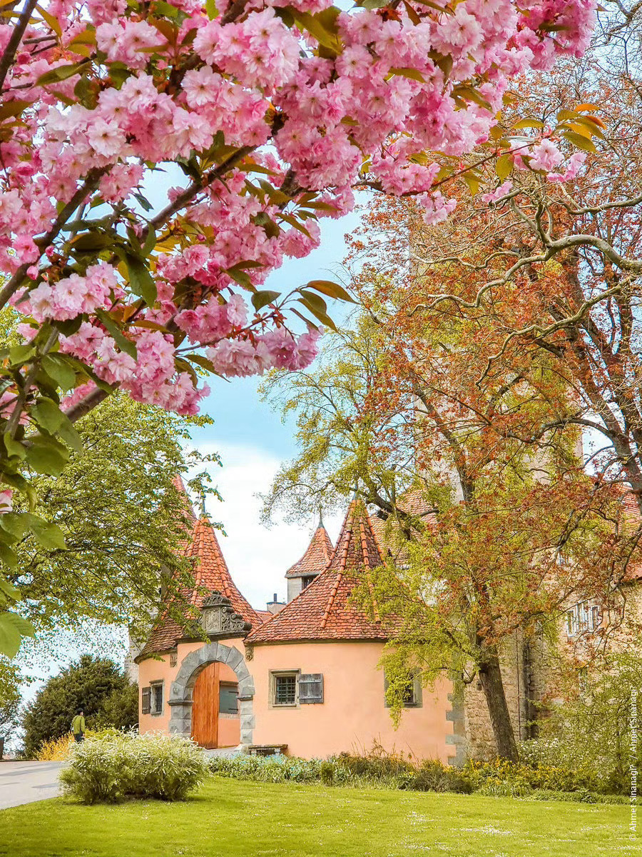 【这里是德国】陶伯河畔的罗腾堡(Rothenburg o. d. Tauber)