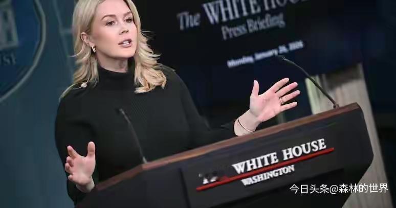 特朗普在达沃斯整的“和平委员会”属实尬住了！白宫发言人直接认了这倡议遭西方盟友集