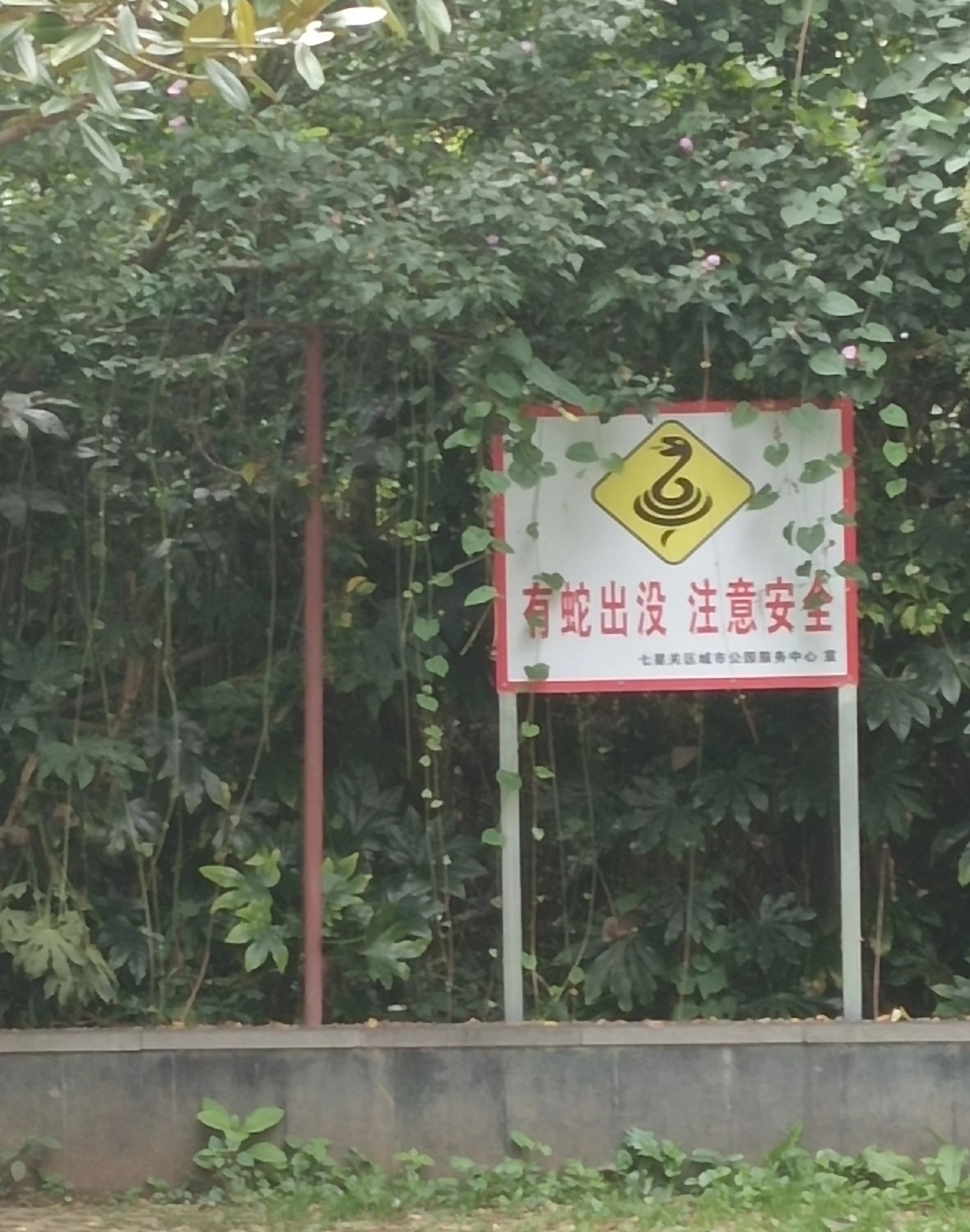南方自古就多蛇虫鼠蚁，还有剧毒，南方虽然好看但也多闷热潮湿…作为北方人我喜欢南方