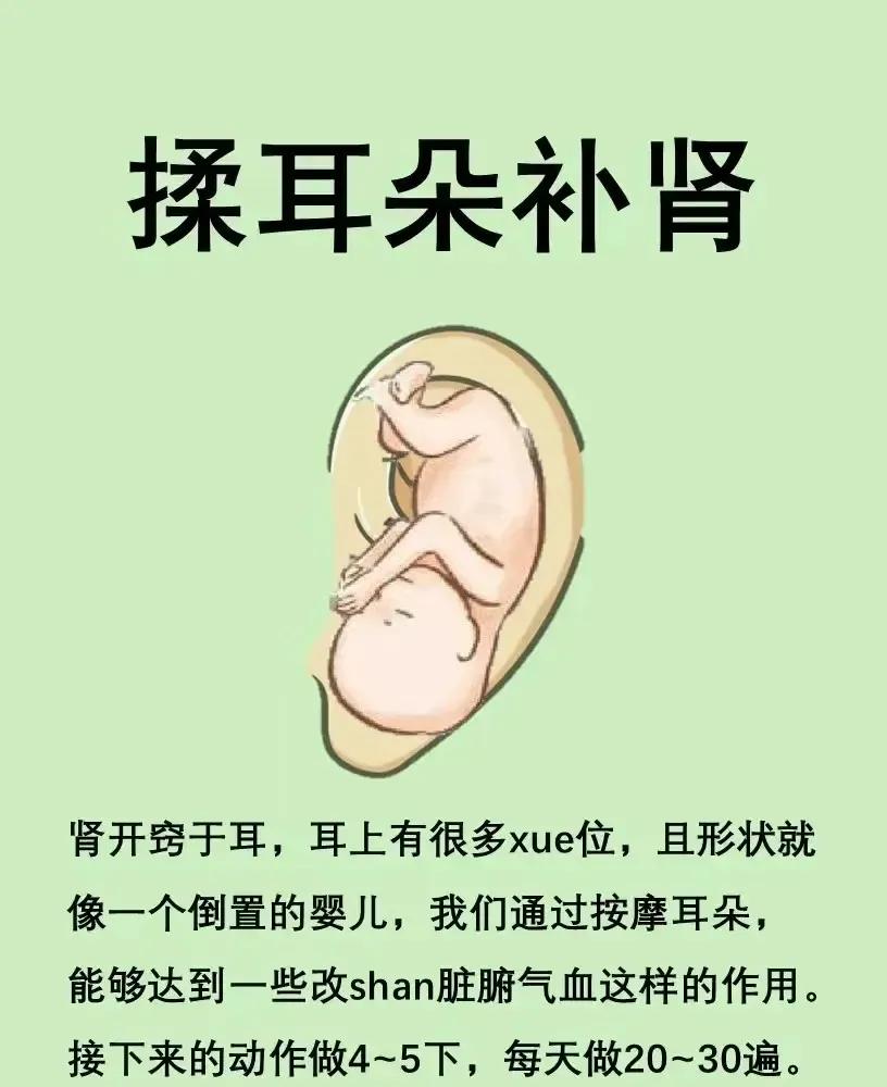 你知道吗？中医里有个神奇的方法，只要经常揉耳朵，就能达到补肾的效果！听起来是不是