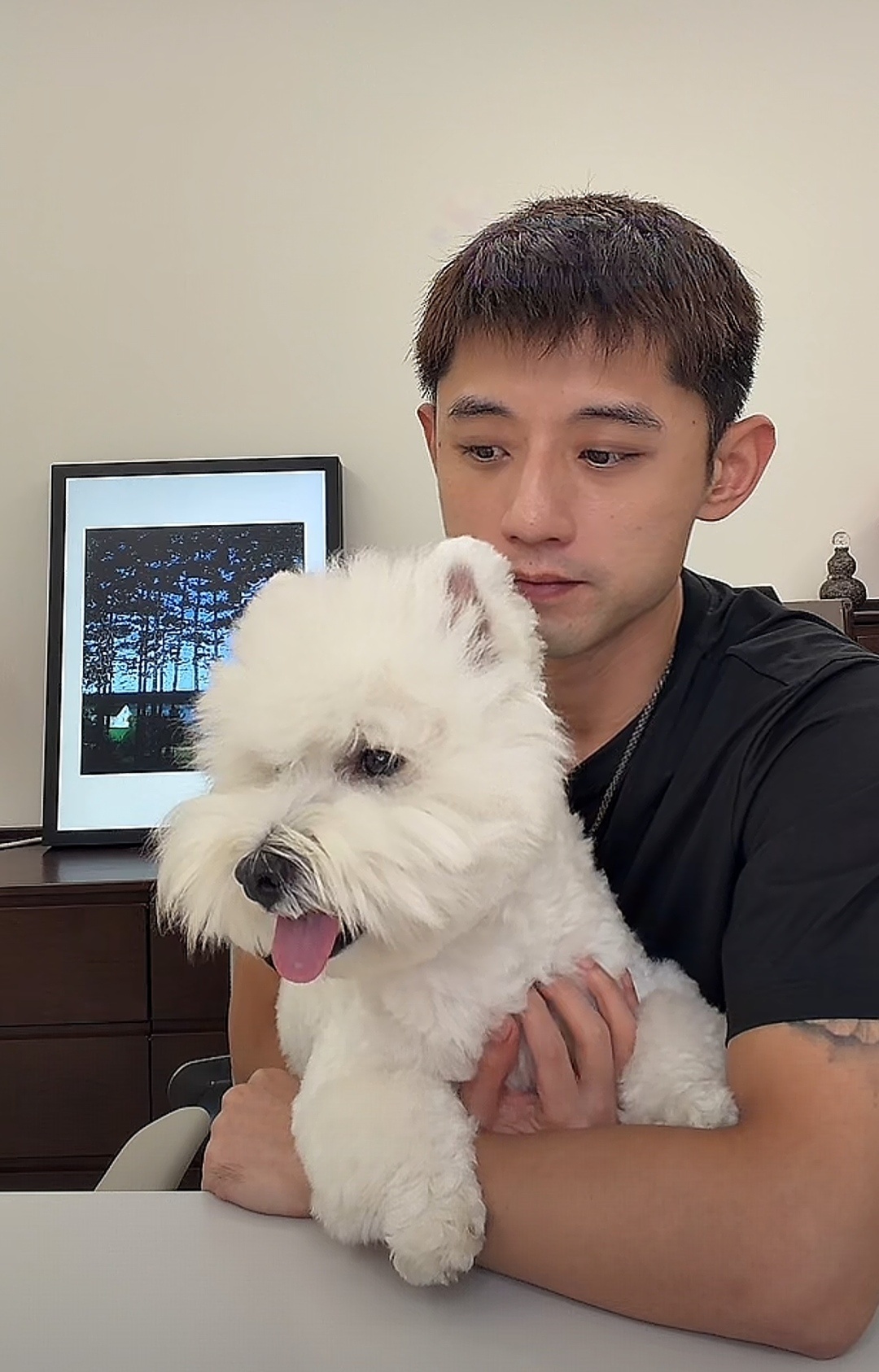 谁是潦草小狗 