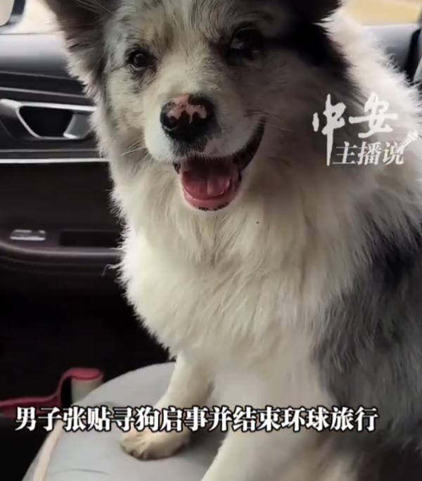 "狗死了，别折腾我们了"！近日河南商丘宁陵县发生的一件事，当地一名拥有百万粉丝的