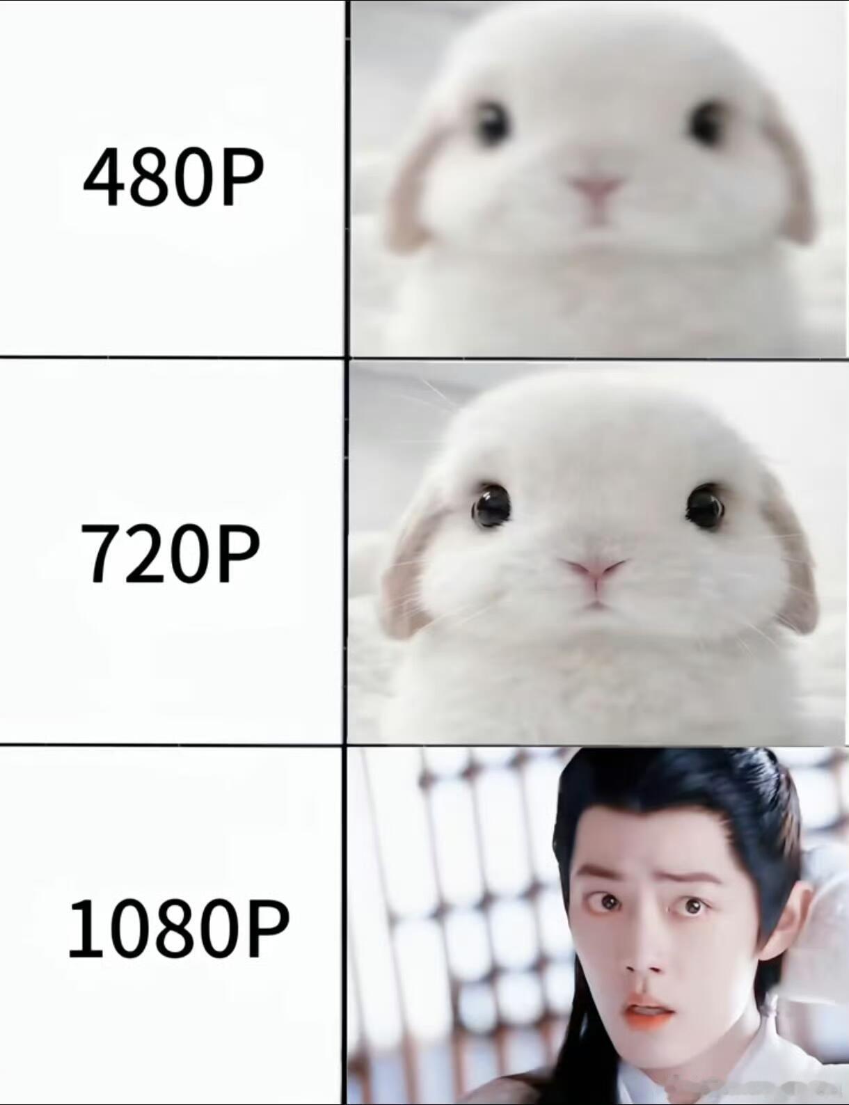萌哭了