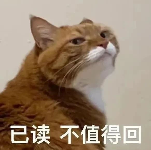 猫咪表情包 