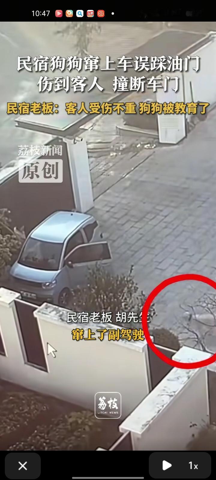 12月9日，湖州市安吉县。两位客人来住民宿，大早上要去高铁站，管家准备开上小电车