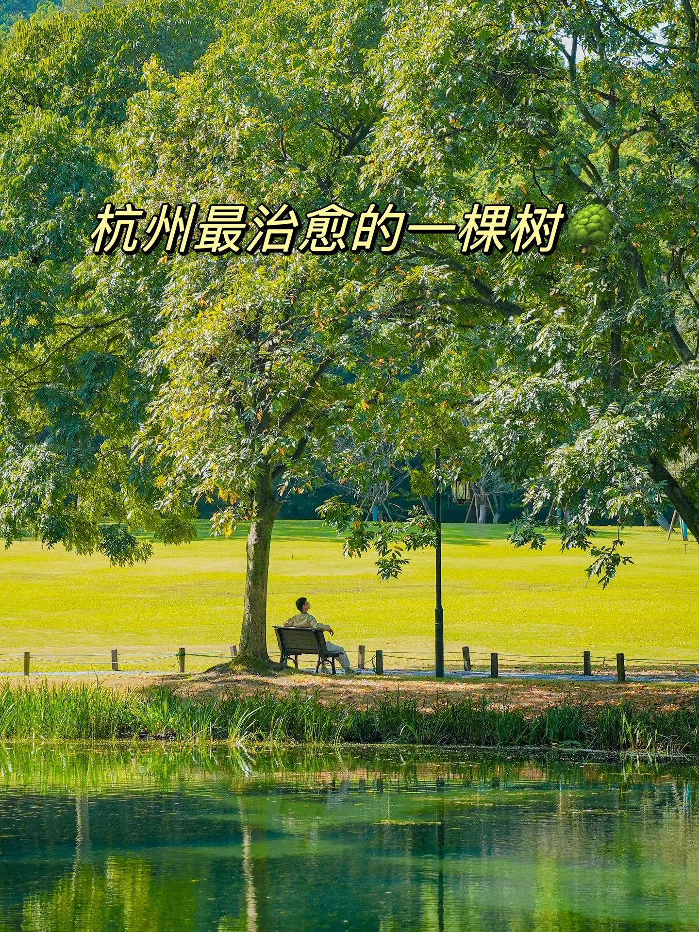 真的好喜欢杭州啊！！不知不觉已经来杭州旅居一个月了，真的好喜欢杭州的生活气息。 对于一座城市而言，有山有水的杭州简直不要太舒服～有浪漫爆表的西湖孤山路，有惬意治愈的龙井村和十里琅珰，有极具漫画感的公园，有烟火气十足的小街小巷，坐坐摇橹船，闻闻桂花香，有种旧时光自来的安静与沉淀… 真的好生安逸，下次有机会再来虚度几日吧～