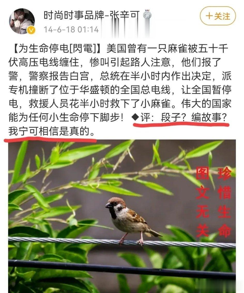 猫能救，鸟能救，土著穷人不能救？ ​​​