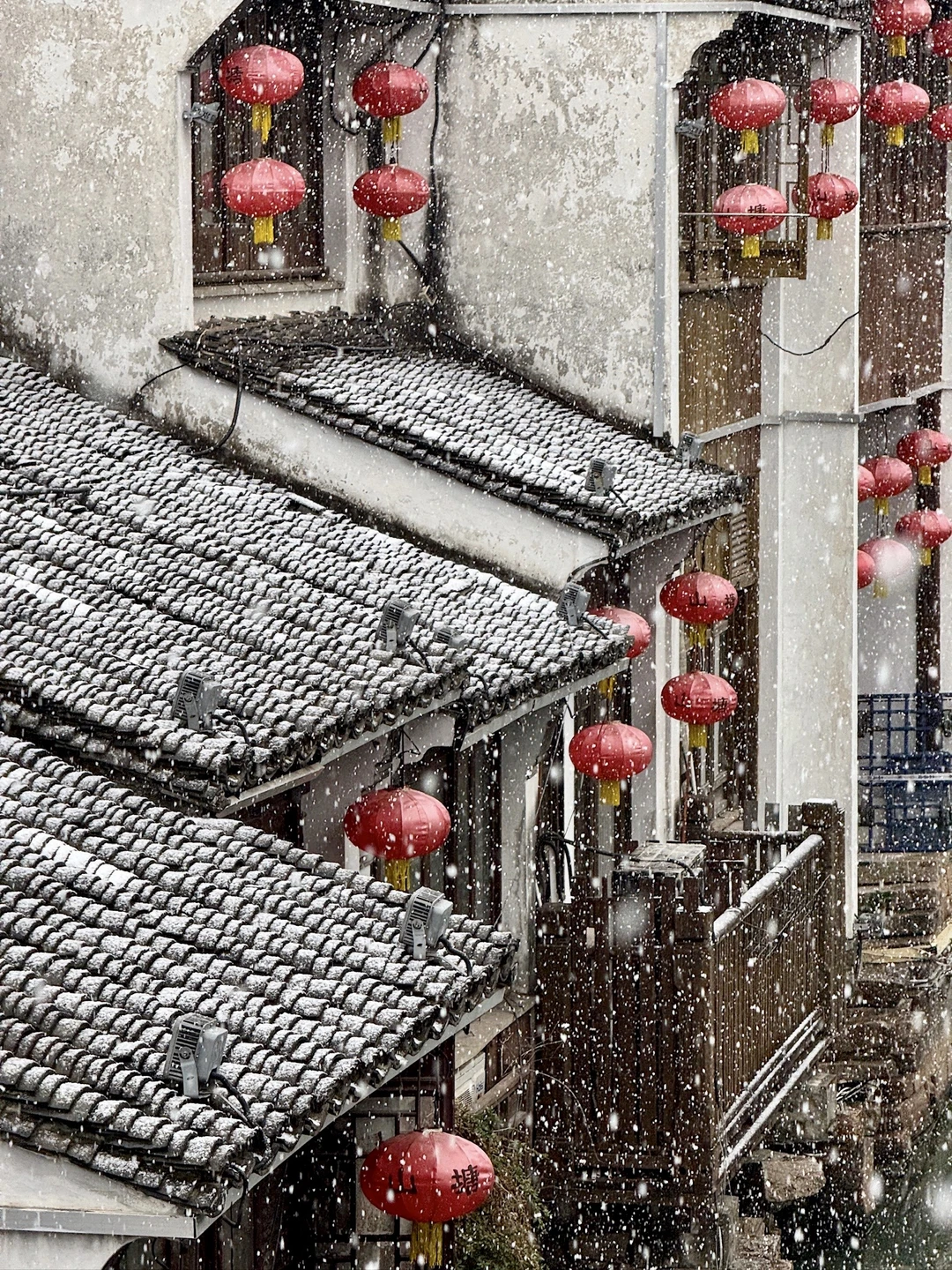 1.20实况 | 苏州真的下雪了，绝美！！！！