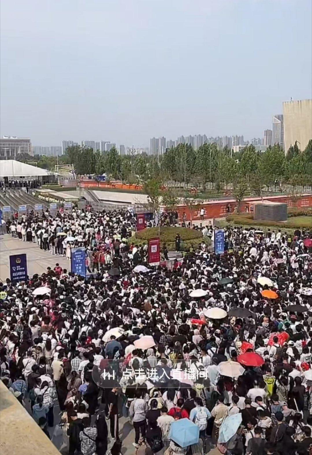 瓜友速报 春决的现场 ​​​