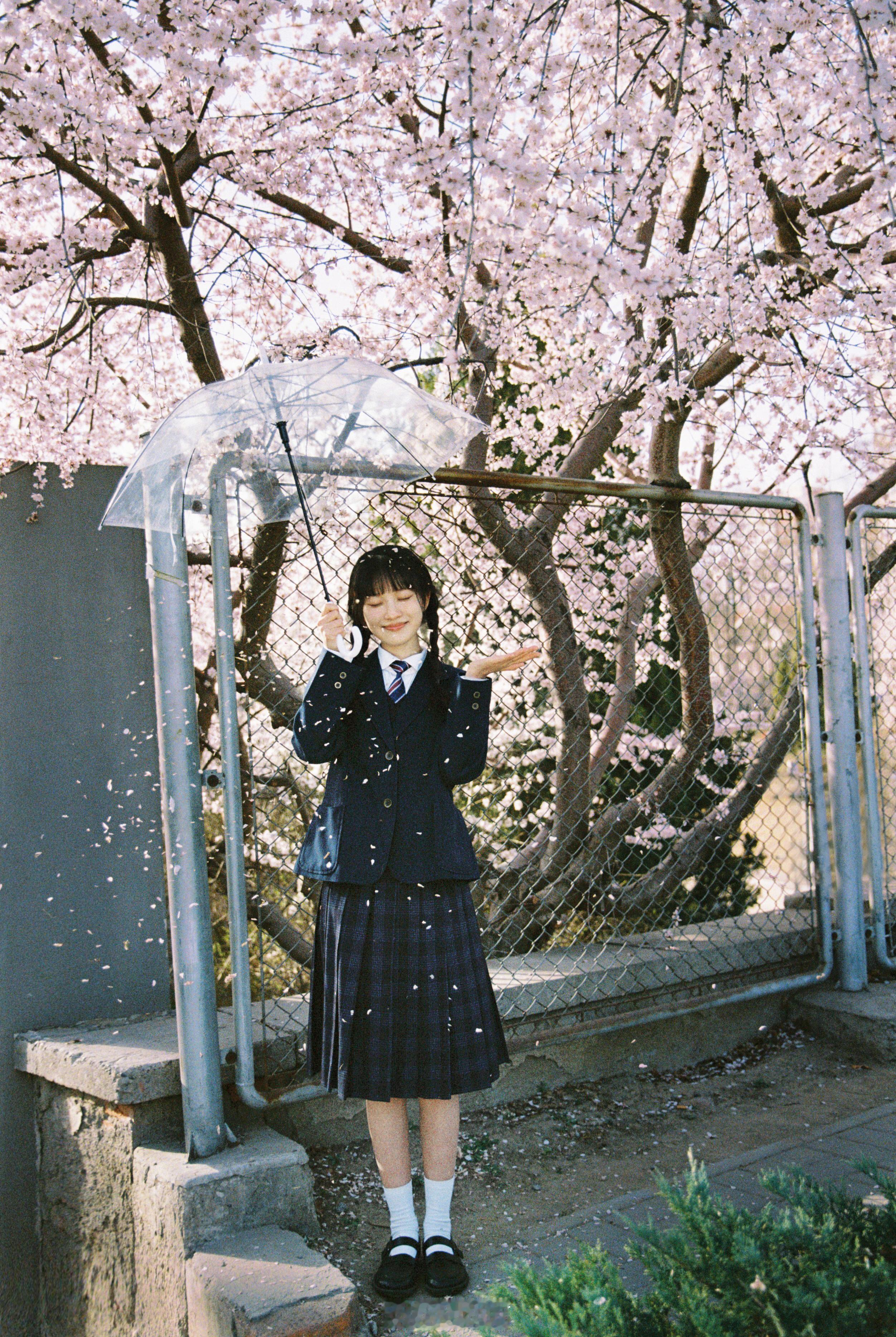 🌸开始期待春天啦#北京约拍[超话]##亿点曝光计划# ​​​